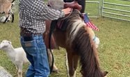 Farm party at Elsberry Riding & Farm 6